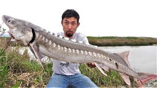 Once in a LIFETIME Catch and Cook White Sturgeon [upl. by Klug510]