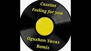 Cassiusfeeling 4U music remix [upl. by Enylodnewg]