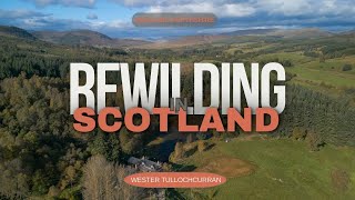 Rewilding in Scotland  Wester Tullochcurran in Perthshire  a Rewilding Project with a Difference [upl. by Hillell]