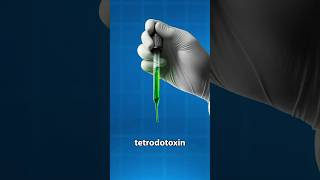 What One Drop of Tetrodotoxin Does to You 🩸 funfacts [upl. by Hum]