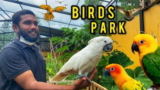 Fundera Park  Birds Park  Yelagiri  Khaalid Vlogs [upl. by Eiramrefinnej]