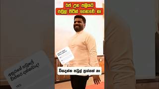 රජ කම ලැබුනත් 🧑‍🍼🧒 පවුල් පිටින් ගෙනත් සැප දෙන්නේ නෑ anurakumaradissanayake prashant akd [upl. by Aerdnua]