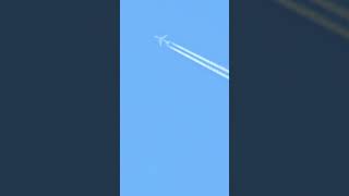 Epic delta a350900 aviation plane trending shorts avgeek planespotting a350 fall love [upl. by Burnight905]