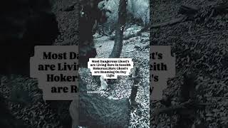 Ghost colony in Sozeith Hokersar Forest wetland area ghoststories horrorstories youtubeshorts [upl. by Moureaux494]