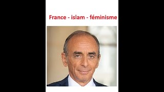 Quelles sont les idées dEric Zemmour [upl. by Anaeed]