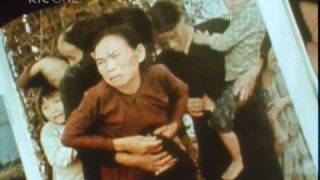 My Lai Massacre Vietnam 1968 [upl. by Anneuq]