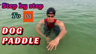 How to do DOG Paddle swim [upl. by Byrne]