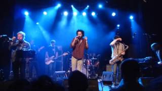 Destroyer  Looters Follies Live In Szene Wien 121115 [upl. by Anemolif661]