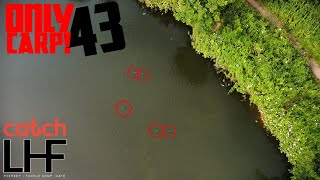 Fishing A Lake With Only 43 CARP  Lavender Hall Fishery  Martyns Angling Adventures [upl. by Lilah]