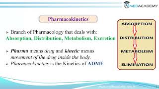 Pharmacokinetics  Part 1 [upl. by Daitzman162]