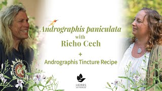 Andrographis paniculata with Richo Cech  Andrographis Tincture [upl. by Neumann]