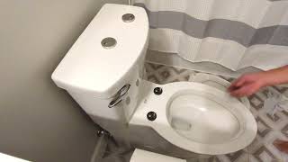 How To Tighten A Loose Fluent American StandardToilet Seat by ‎‎‎‪‎CAMDoIt [upl. by Millhon]