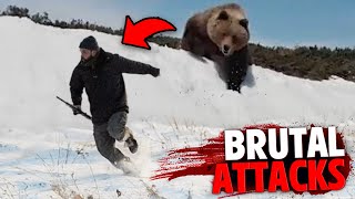 The 3 Worst Grizzly Bear Attacks You Will Ever Hear [upl. by Nwahsan]