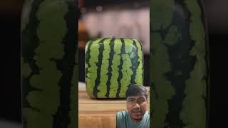 Square watermelon trending respectshorts [upl. by Lenhard]