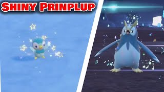 Shiny Prinplup 394 in Pokémon Scarlet and Violet [upl. by Nerua206]