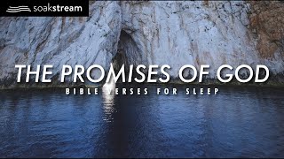 The Promises of God  Bible Verses For Sleep [upl. by Iniffit349]