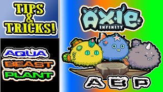 COMBO TIPS  DEFENSIVE TEAM  AXIE INFINITY  ABP AXIE TIPS AND TRICKS [upl. by Ferdinande]