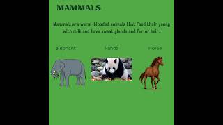 Classification Of AnimalsvertebratesNCERTPlus Two Biologybiology cbse puc class11NEET [upl. by Ahsemrac]