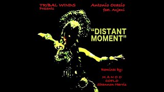 Antonio Ocasio Anjani  Distant Moment Manoo Remix [upl. by Hennie]