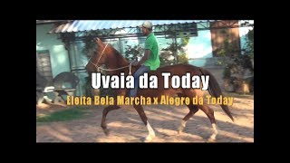 Haras Today  Uvaia da Today [upl. by Geer]