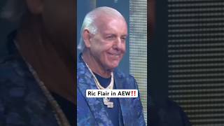 Ric Flair reunites with Sting in AEW [upl. by Anelam348]