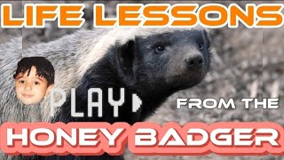 Unlock Fearlessness Honey Badger Wisdom  Fearless Motivation [upl. by Gona]