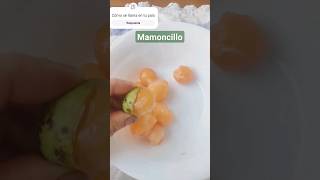 Mamoncillo con sal limón 🍋 pimientami reacción al probarlos 😶‍🌫️ [upl. by Ahsitauq]