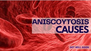 Anisocytosis Causes [upl. by Mareld]