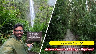 Pipiwai Trail  Bamboo Forest  Waimoku Falls  Road to Hana  USA Tamil Travel VLOG usatamilvlog [upl. by Sterrett381]