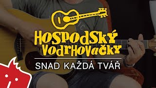 Jak hrát na kytaru Snad každá tvář Hospodský vodrhovačky 30 [upl. by Aloeda]