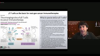 The Importance of GammaDelta T Cells [upl. by Neras]