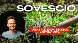 Il sovescio e il suoi segreti Piante Tecniche e Acceleratori per un Terreno Rigenerato [upl. by Stiegler]