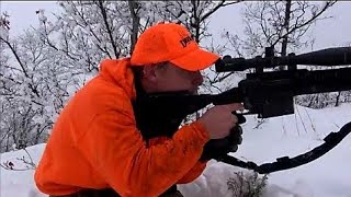 338 Lapua Mag VS Elk at 600 yards Shooting Elk Hunting Utah [upl. by Iridis]