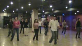 Simply Shuffle  Line Dance Demo amp Walk Through [upl. by Siletotsira427]