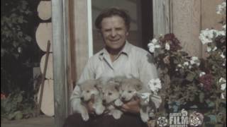 Leonhard and Constance Seppala with puppies [upl. by Gawain48]