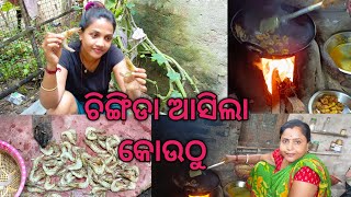 ଚିଙ୍ଗିଡା ଆସିଲା କୋଉଠୁdebashreemohantyofficialdebashreemohanty odiavlog odiajhio [upl. by Kelcy832]