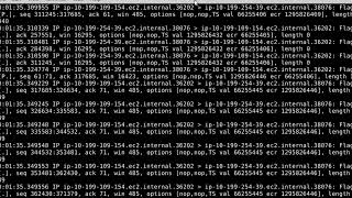 tcpdump Introduction [upl. by Dehsar]