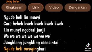 lirik lagu cocor bebek🥰 [upl. by Eak566]