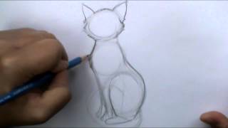 How to draw a basic cat sitting [upl. by Richela828]