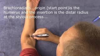 Meridian Pen Electric Acupuncture pen and how it works [upl. by Grimaud]