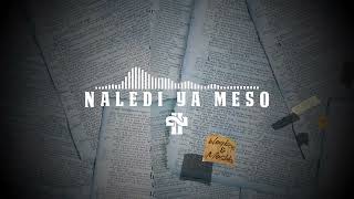 Naledi Ya Meso II ft Mashka [upl. by Ennis]