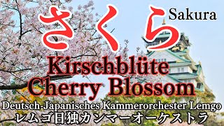 Japanische Musik „Sakura“ – federleichte Bearbeitung für Kammerorchester [upl. by Noteek]