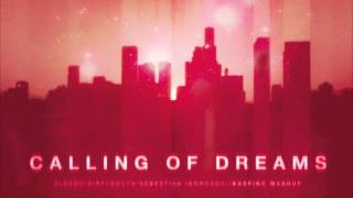 Alesso Vs Dirty South Vs Sebastian Ingrosso  Calling of Dreams KaspikC Mashup [upl. by Lovell]