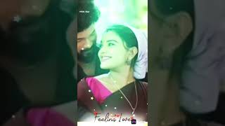 sembaruthi serial song Kartik Raj aadi Parvati and Shabana ♥️♥️♥️♥️♥️🥰🥰😘😘😍😍😍😍🎀🎀🎀 [upl. by Arres]