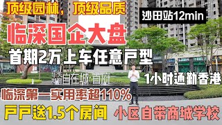 国企大盘临深户型实用率最高！全部户型赠送15个房间！首期2万上车任意户型，沙田站12min，小区自带商城学校百万大盘华发天润自在城惠州房價 惠州樓盤 惠州筍盤 惠州買樓 惠州樓價 [upl. by Moffat]