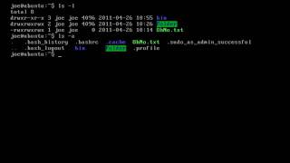 Customising the Linux terminal using bashrc environment variables and aliases [upl. by Will]