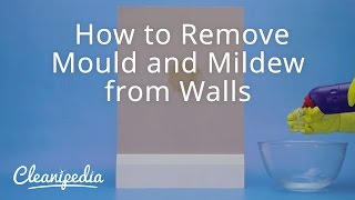 How to Remove Mould and Mildew from Walls [upl. by Marigold]