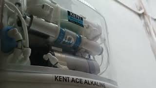 Kent Ace Alkaline Honest review ll kreative help [upl. by Nybor556]