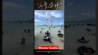 PENAMPAKAN MONSTER GODZILLA memes funny godzilla [upl. by Jade]