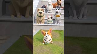 Animated Dog Comedy shortsfeed comedycartoon funnydogs funnykidsvideo shorts tiktok youtube [upl. by Atekan]